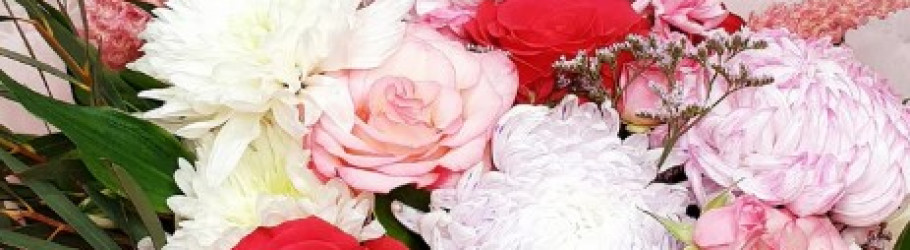 blossombydaisy