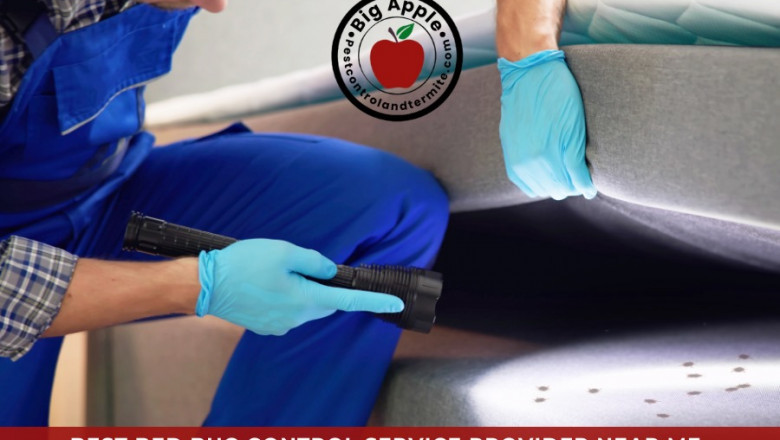 Choosing the Right Pest Control Company in Oldsmar