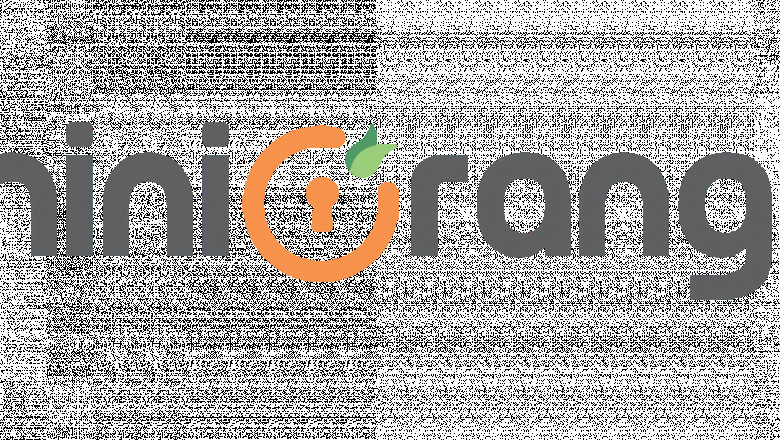 Empowering Enterprises with Smart IAM: The miniOrange Advantage