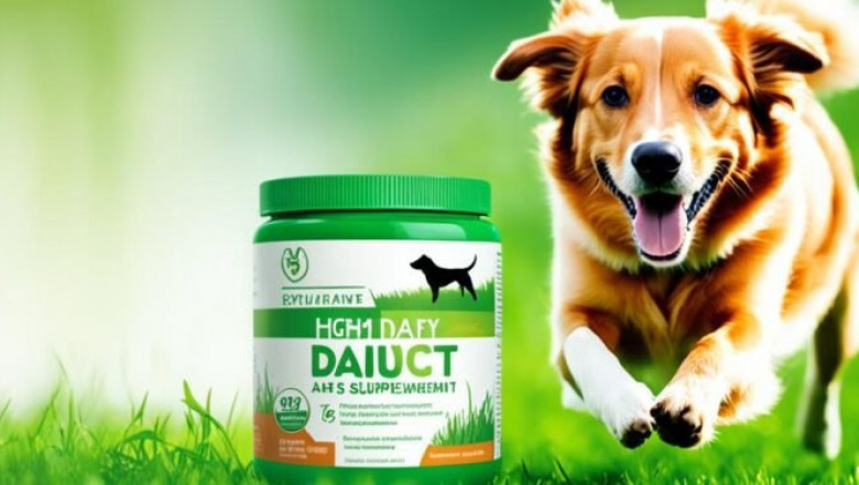 Protein Supplements for Dogs: Boost Your Pet's Health