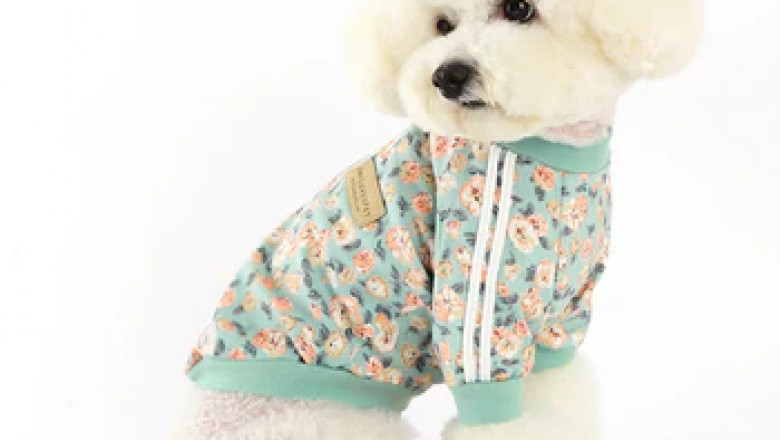 Best Pet Clothing Store – Fashionable & Functional Pet Apparel