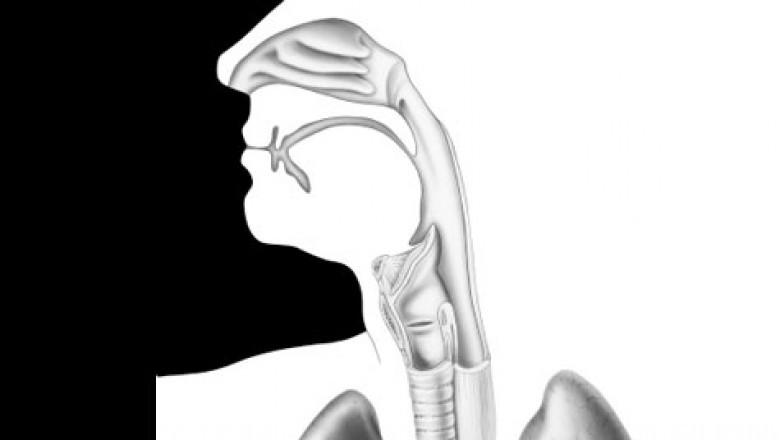 How a Hearing Test Can Help You Understand Your Hearing Loss
