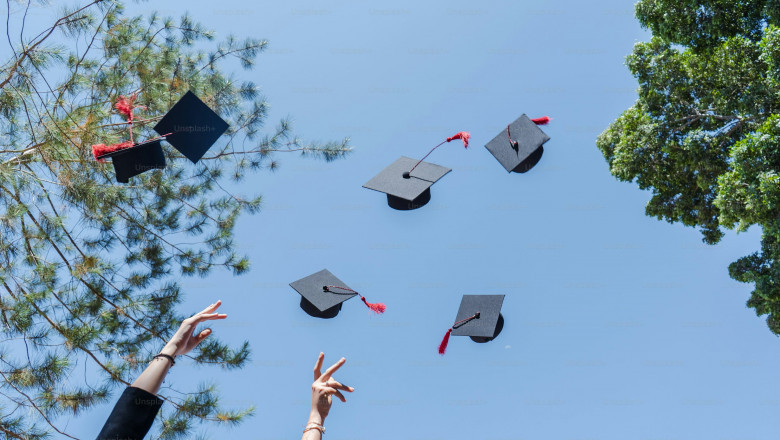 Assignment Writing Help in Australia: Ace Your Academic Journey with Expert Support