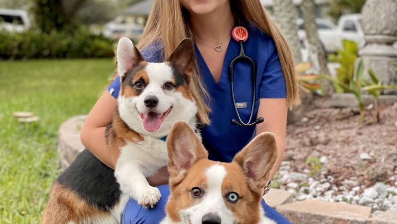 Boulevard Animal Hospital