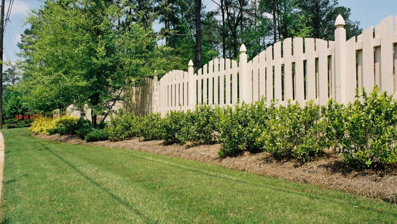 Explore Creative Ideas for Shadow Box Fence Design