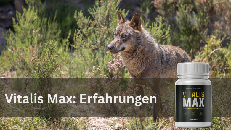 Vitalis Max – Veilige, natuurlijke formule om je weer jong te voelen