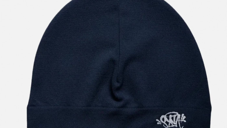 What Is Synaworldltd? A Deep Dive into the Emerging Brand