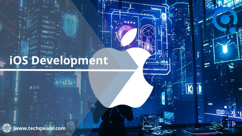 iOS Development Company - Industry Overview