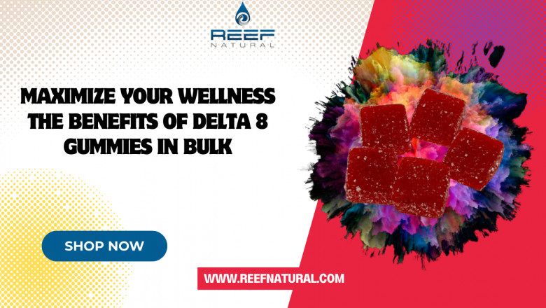 Maximize Your Wellness The Benefits of Delta 8 Gummies in Bulk