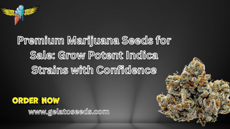 Premium Marijuana Seeds for Sale: Grow Potent Indica Strains with Confidence