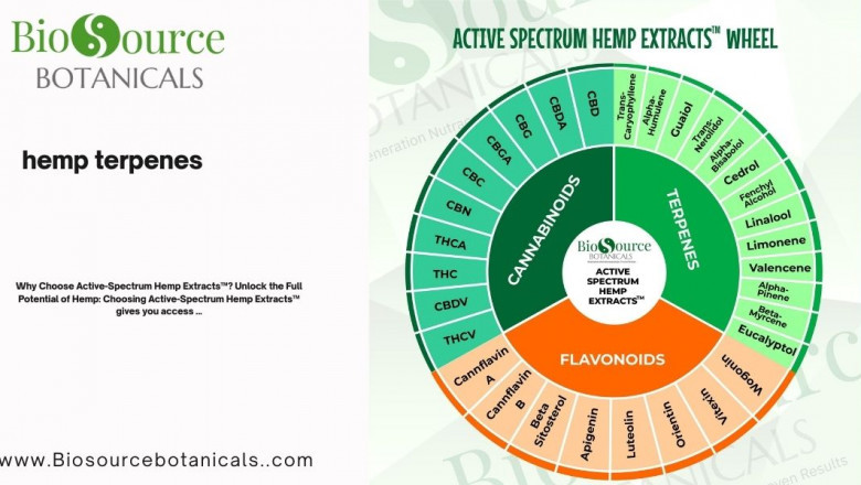 Active Spectrum Hemp Extracts: The Synergy of Cannabinoids, Terpenes, and Flavonoids for Wellness