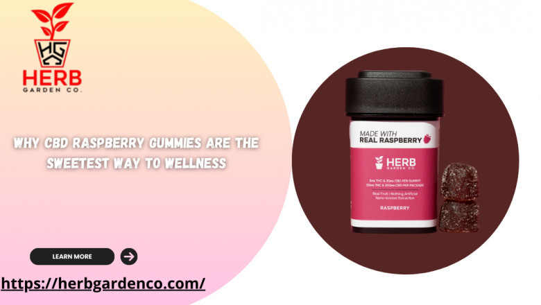 Why CBD Raspberry Gummies Are the Sweetest Way to Wellness