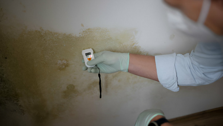 Why Mold Inspection is Essential for Home Safety and Health