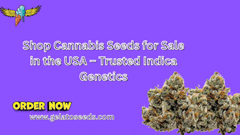 Shop Cannabis Seeds for Sale in the USA – Trusted Indica Genetics