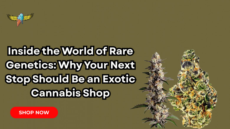 Inside the World of Rare Genetics: Why Your Next Stop Should Be an Exotic Cannabis Shop