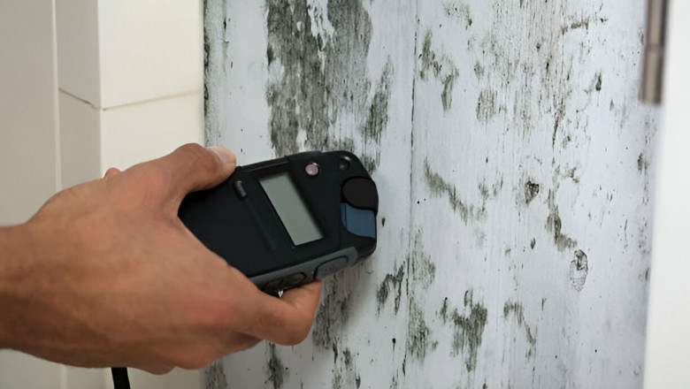 Understanding Mold Inspection: Protecting Your Broomfield Home's Health and Safety