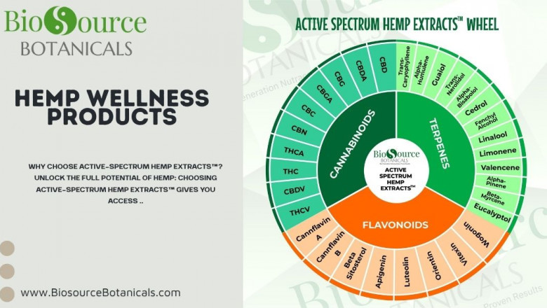 Exploring Hemp Wellness Products: Natural Solutions for a Balanced Life