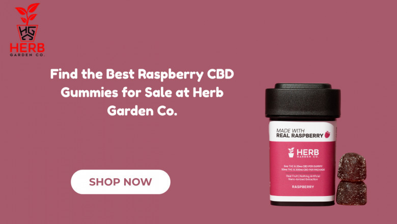Find the Best Raspberry CBD Gummies for Sale at Herb Garden Co.