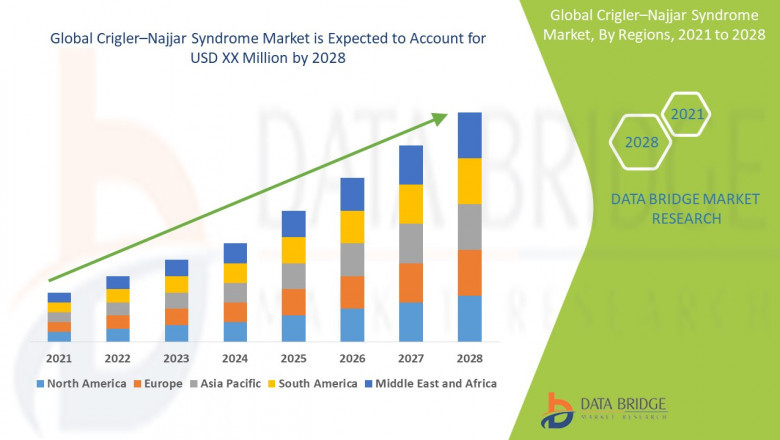 Crigler–Najjar Syndrome Market Companies: Growth, Share, Value, Size, and Insights