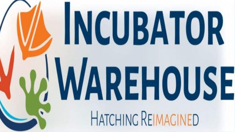 Understanding Temperature Control in Your Quail Incubator