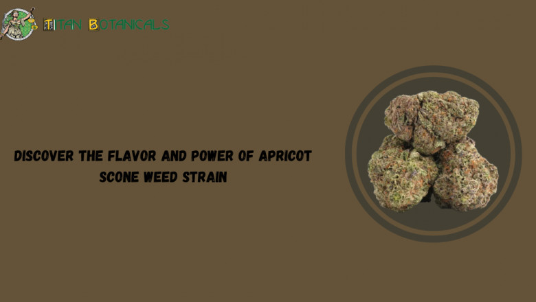 Unlock the Power of Dior Runtz Cannabis Strain – Premium THCa Flower at Titan Botanicals