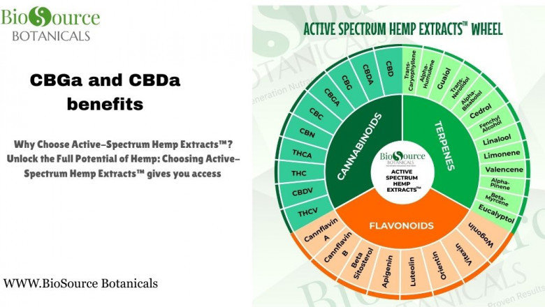 Exploring CBGa and CBDa Benefits in Active Spectrum Hemp Extracts