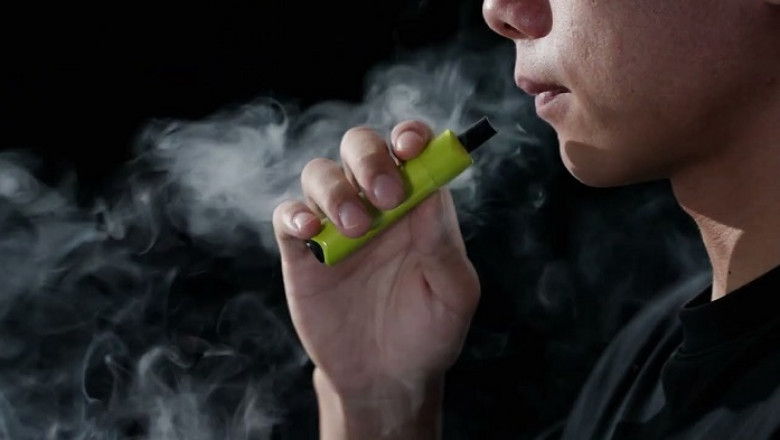 The Best Bongs for Sale in 2025: Our Ultimate List