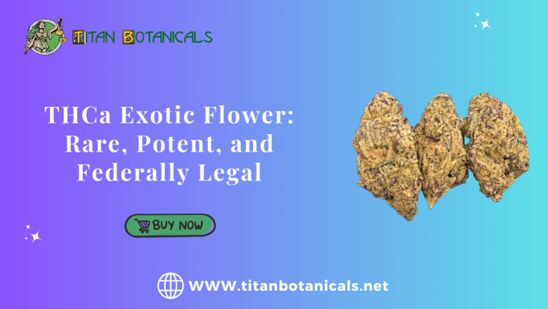 Premium THCa Exotic Flower for Sale Titan Botanicals
