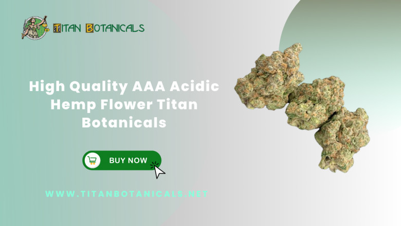 Get High Quality AAA Acidic Hemp Flower by Titan Botanicals