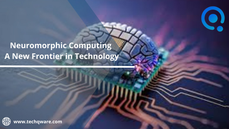 Neuromorphic Computing Services - Cost 2025