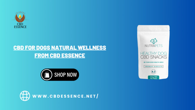CBD for Dogs Natural Wellness from CBD Essence