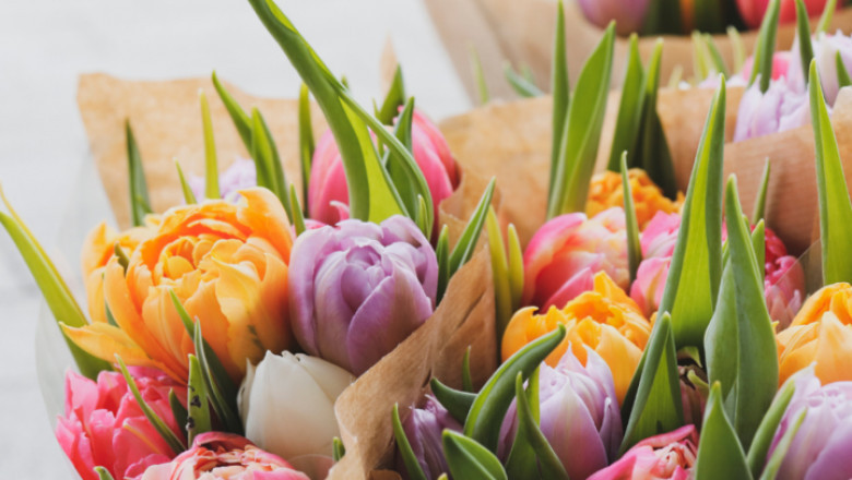 Nature’s Touch: How Flowers Transform Everyday Moments into Lasting Memories