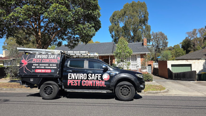 Protect Your Space Year-Round: Melbourne’s Go-To Guide for Effective Pest Control