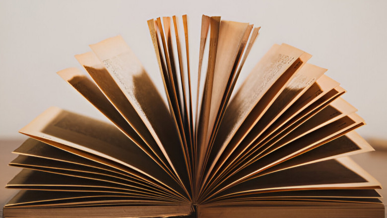 Behind the Pages What Motivates John Ball’s AI Writing