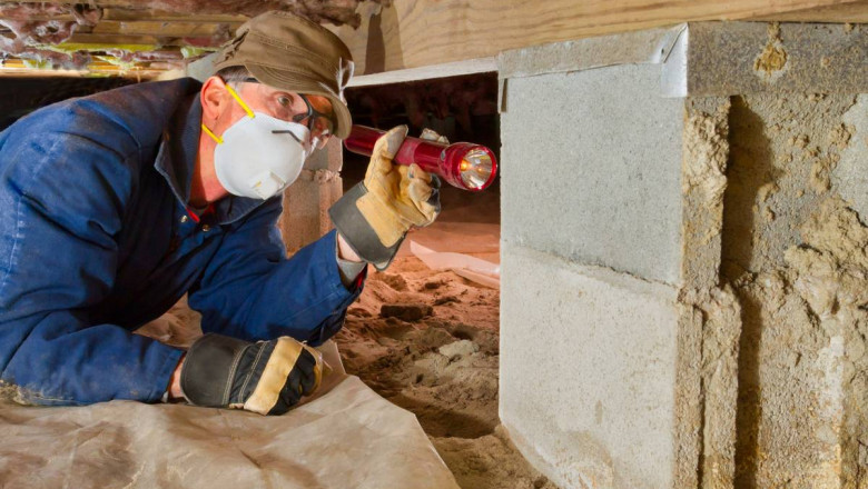 When Termite Inspections Go Wrong: The Overlooked Risks of a Missed Infestation