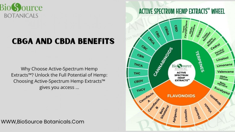 Exploring the Benefits of CBGa and CBDa in Active Spectrum Hemp Extracts
