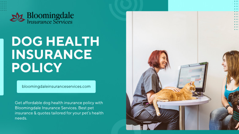 Protect Your Pet’s Future with Dog Health Insurance Policy | Bloomingdale Insurance Services
