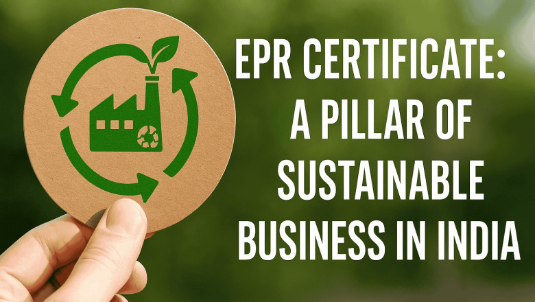 Beyond Compliance: Uncovering the Strategic Value of Certification