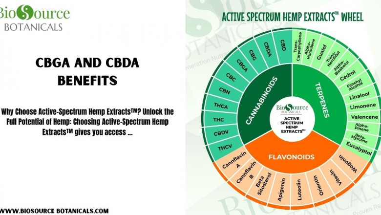 Discover the Synergistic Benefits of CBGa and CBDa in Active Spectrum Hemp Extracts