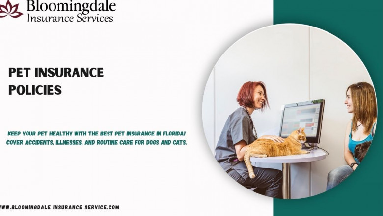 Top Pet Insurance Policies for Dogs | Bloomingdale Insurance Services