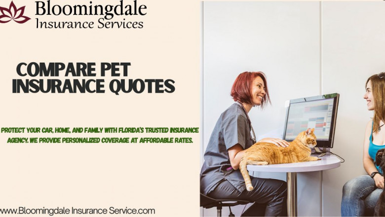 Compare Pet Insurance Quotes with Bloomingdale Insurance Services
